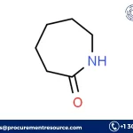 Caprolactam Manufacturing Cost