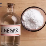 Vinegar Manufacturing Cost