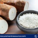 Modified Starch Production Cost