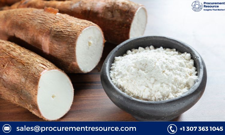 Modified Starch Production Cost