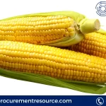 Corn Production Cost