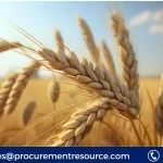 Durum Wheat Price