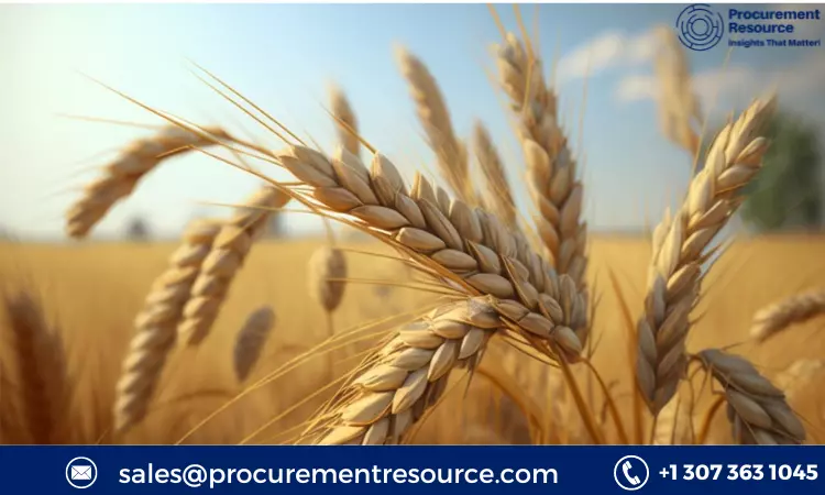 Durum Wheat Price