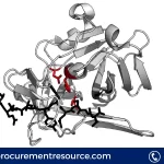 Protease Price