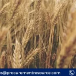 Wheat Price Trend