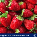 Strawberries Production Cost