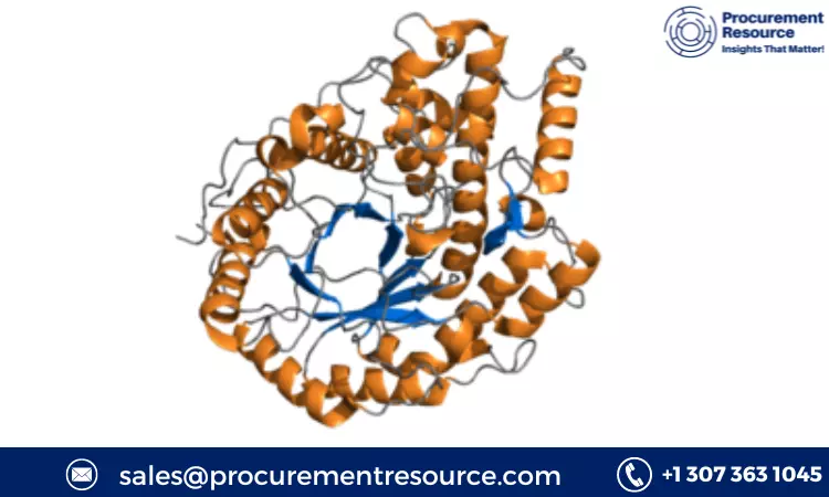 Amylase Production Cost