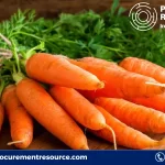 Carrot Production Cost