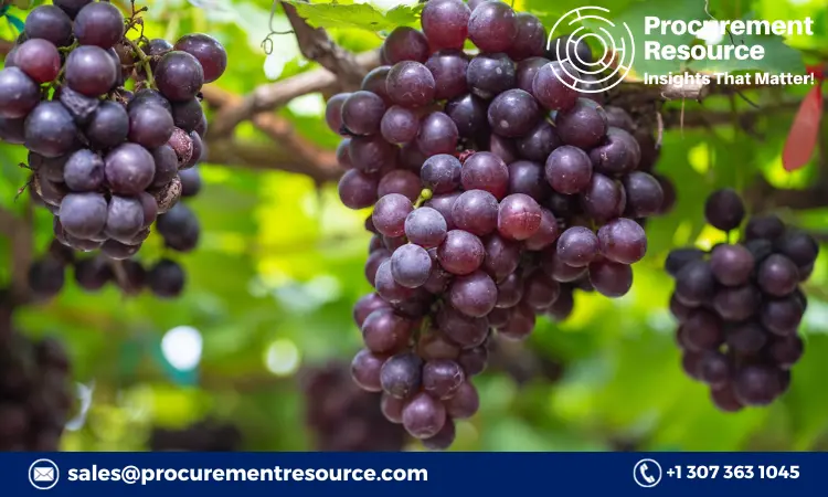 Grape Production Cost