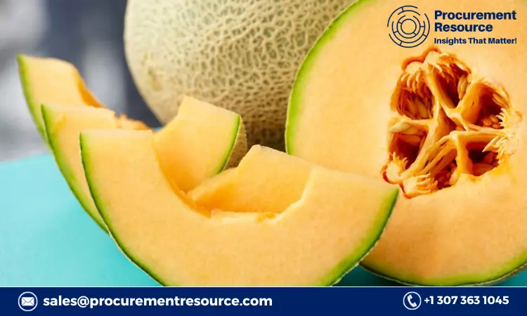 Melon Production Cost