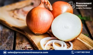 Onion Production Cost