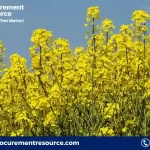 Rapeseed Production Cost