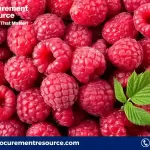 Raspberries Production Cost