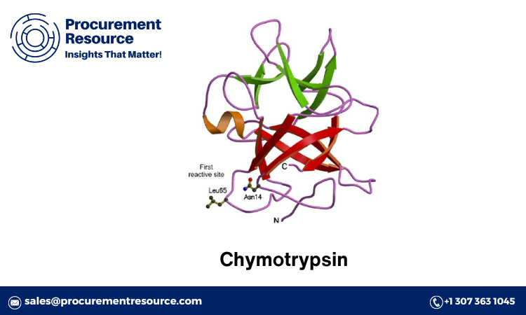 Chymotrypsin Production Cost Report