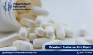 Meloxicam Production Cost Report