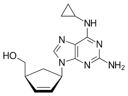 Abacavir Production Cost