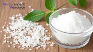 Sodium Isethionate Manufacturing Plant Project Report